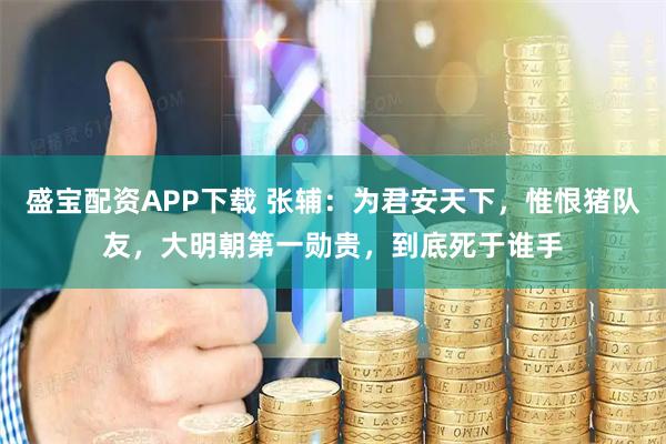 盛宝配资APP下载 张辅：为君安天下，惟恨猪队友，大明朝第一勋贵，到底死于谁手