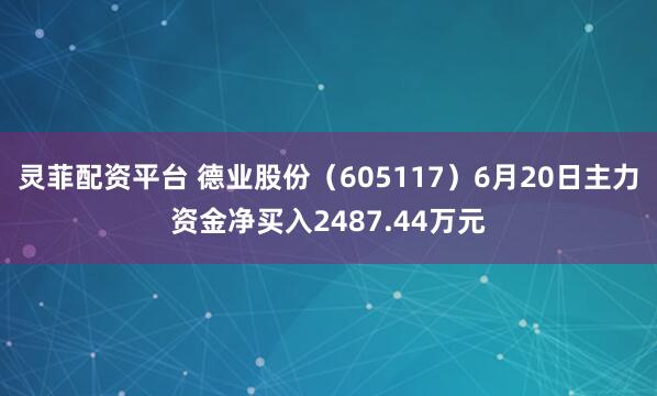 灵菲配资平台 德业股份（605117）6月20日主力资金净买入2487.44万元