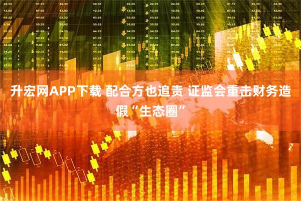 升宏网APP下载 配合方也追责 证监会重击财务造假“生态圈”