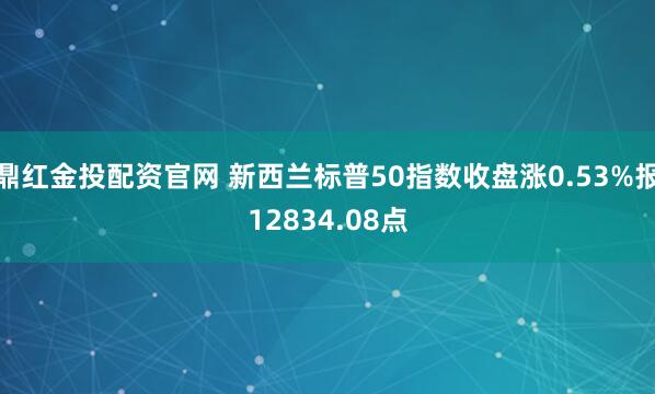 鼎红金投配资官网 新西兰标普50指数收盘涨0.53%报12834.08点
